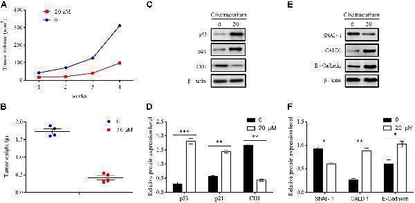 m00145 2 fphys 09 00941 g006
