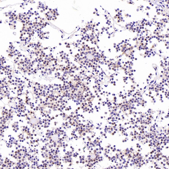 m00149 1 ihc7