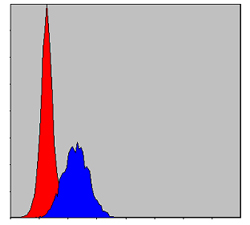 m00152 cbl primary antibodies fcm testing 1
