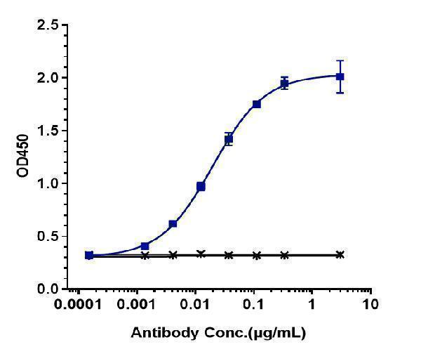 Immobilized human EGFR His at 2 &mug/mL can bind Anti-CD19 Reference Antibody (denintuzumab-MMAF)