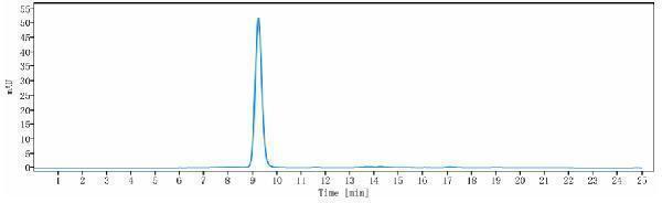 The purity of Anti-Complement C5 Reference Antibody (eculizumab)is more than 98