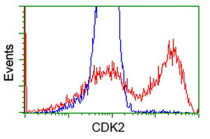 m00166 2 anti cdk2 mouse monoclonal antibody clone id oti2d9 flow cytometry testing 6
