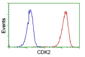 m00166 2 anti cdk2 mouse monoclonal antibody clone id oti2d9 flow cytometry testing 8