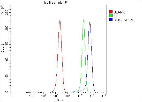 m00166 3 cdk2 primary antibodies fcm testing 5