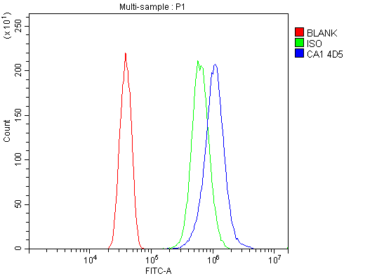 m00170 1 ca1 primary antibodies fcm testing 9