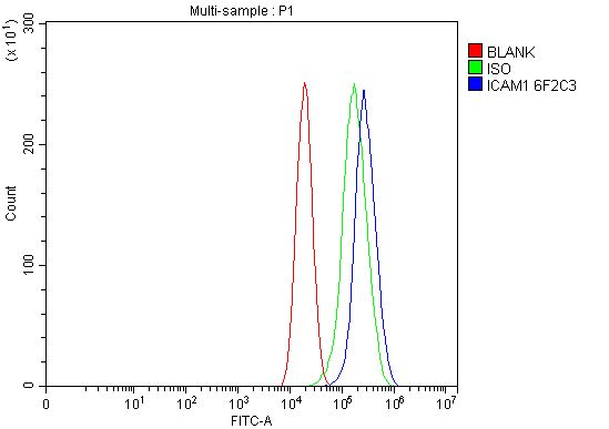 m00171 3 icam1 primary antibodies fcm testing 6