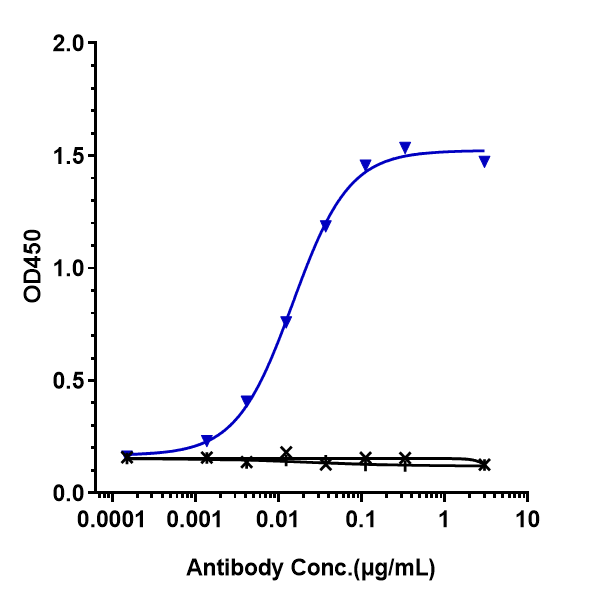 Immobilized human PD 1 His at 2 &mug/mL can bind Anti-PDCD1/PD-1/CD279 Reference Antibody (spartalizumab)