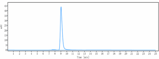 The purity of Anti-PDCD1/PD-1/CD279 Reference Antibody (Rulonilimab)is more than 98