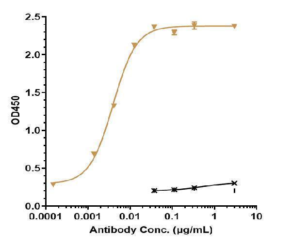 Immobilized human PD 1 His at 2 &mug/mL can bind Anti-PDCD1/PD-1/CD279 Reference Antibody (pembrolizumab)