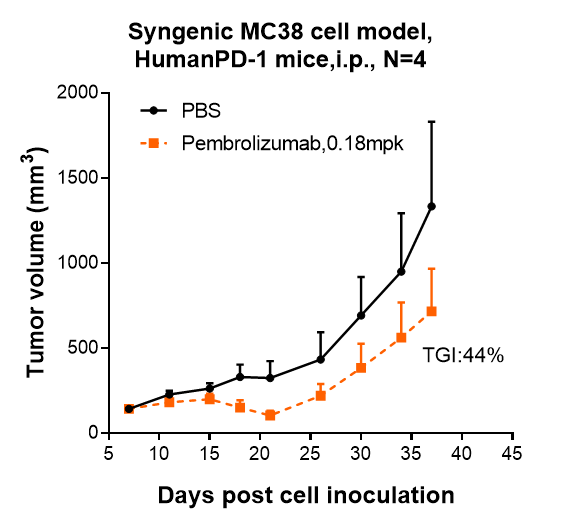 m00178 6 syngenic mc38 cell model