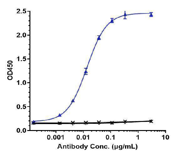 Immobilized human PD 1(C 6His) at 2 &mug/mL can bind Anti-PDCD1/PD-1/CD279 Reference Antibody (toripalimab)