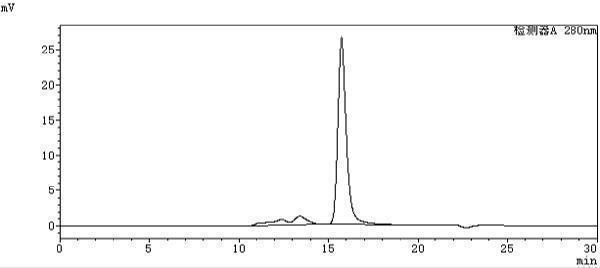 The purity of Anti-PDCD1/PD-1/CD279 Reference Antibody (toripalimab)is more than 95%