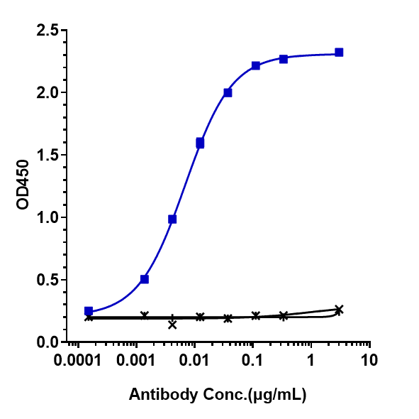 Immobilized human PD 1 His at 2 &mug/mL can bind Anti-PDCD1/PD-1/CD279 Reference Antibody (sintilimab)