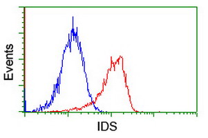 m00180 anti iduronate 2 sulfatase ids mouse monoclonal antibody clone id oti4g2 flow cytometry testing 14