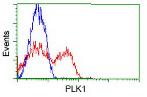 m00182 2 anti plk1 mouse monoclonal antibody clone id oti8c12 flow cytometry testing 4