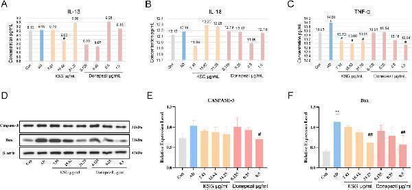 Regulatory effects of KSG on the expression of cytokines and apoptosis-related factors in Aβ-induced PC12 cells