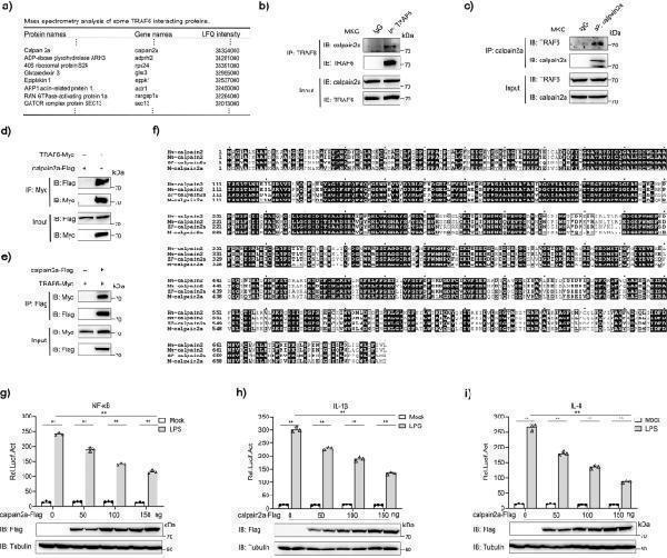 m00185 42003_2023_4711_fig1_html