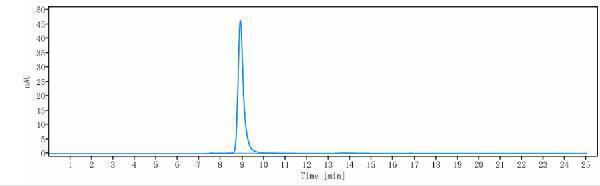 The purity of Anti-FLT3/CD135 Reference Antibody (IMC-EB10)is more than 95%