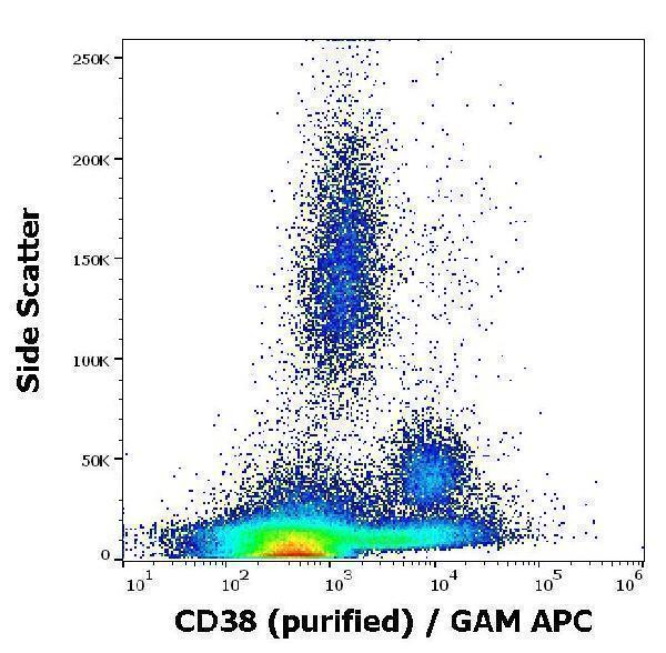 Flow cytometry surface staining pattern of human peripheral whole blood stained using anti-human CD38 (HIT2) purified antibody (concentration in sample 2 µg/ml, GAM APC)