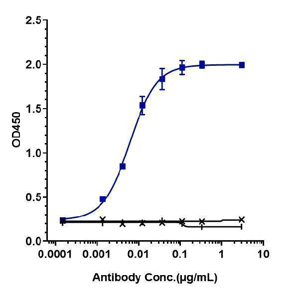 Immobilized human CD38 Nhis at 2 &mug/mL can bind Anti-CD38 Reference Antibody (isatuximab)