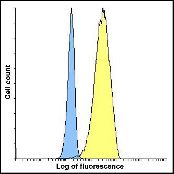 m00196 1 cd80 primary antibodies fcm testing 7