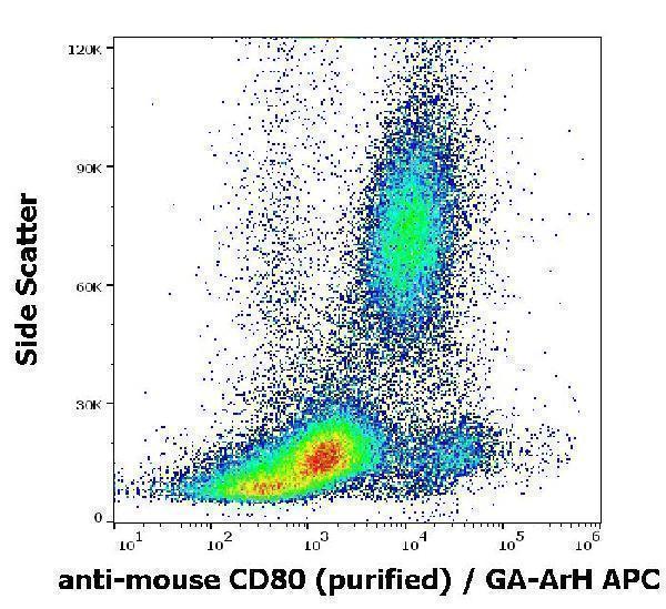 Flow cytometry surface staining pattern of murine peripheral whole blood stained using anti-mouse CD80 (16-10A1) purified antibody (concentration in sample 2 µg/ml) GAM APC