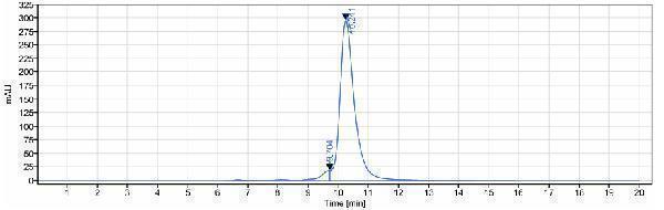 The purity of Anti-CD28L/CD80 Reference Antibody (galiximab)is more than 95