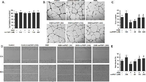 m00206 1 fphar 11 00059 g004