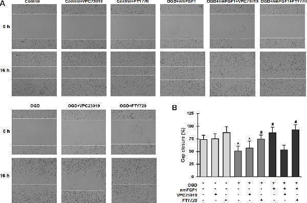 m00206 1 fphar 11 00059 g007
