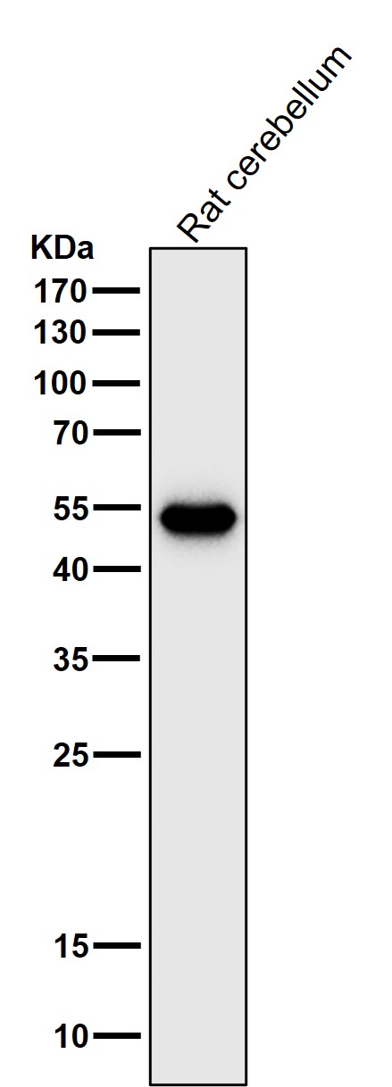 m00213 2 wb7