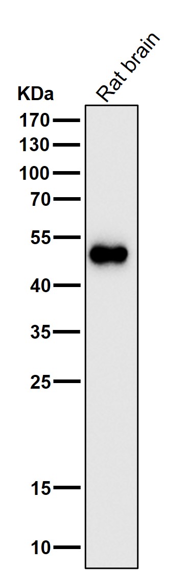 m00213 2 wb9