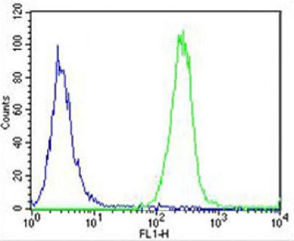 m00215 2 anti snca antibody c term fc testing 3