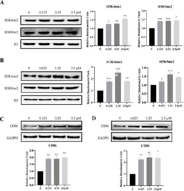 m00220 1 ijbms 25 781 g003