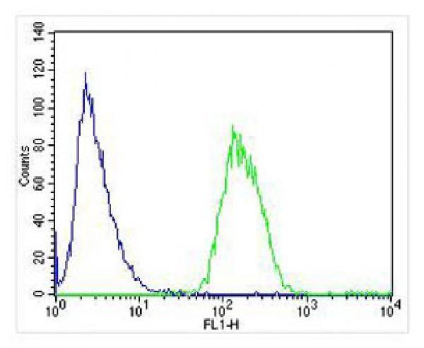 Overlay histogram showing SH-SY5Y cells stained with M00221-3 (green line)