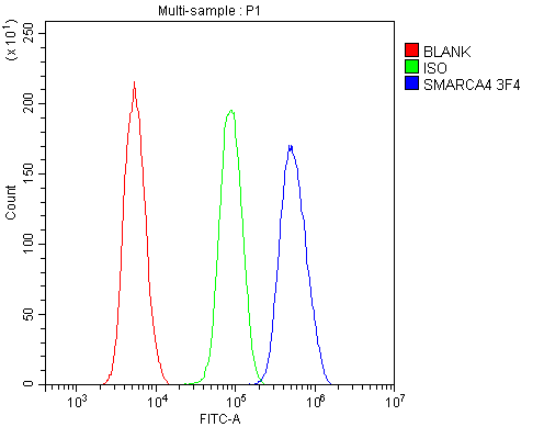 m00223 1 brg1 primary antibodies fcm testing 6