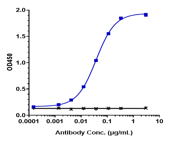 Immobilized human Axl FC at 2 &mug/mL can bind Anti-AXL/UFO Reference Antibody (enapotamab)