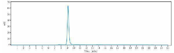 The purity of Anti-AXL/UFO Reference Antibody (enapotamab)is more than 99