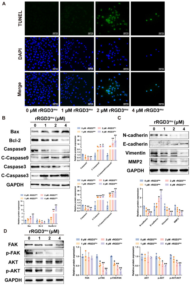 m00227 1 publication ijms 27 05045 g004