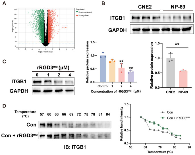 m00227 1 publication ijms 27 05045 g005