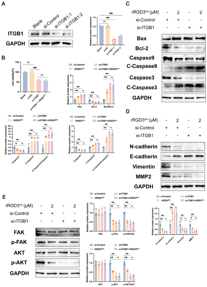 m00227 1 publication ijms 27 05045 g006
