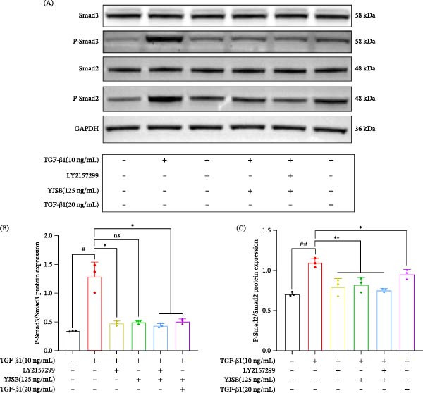 m00227 1 publication mi 2026 2319470 g002