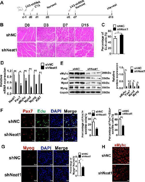 m00227 7 41419_2019_1742_fig4_html