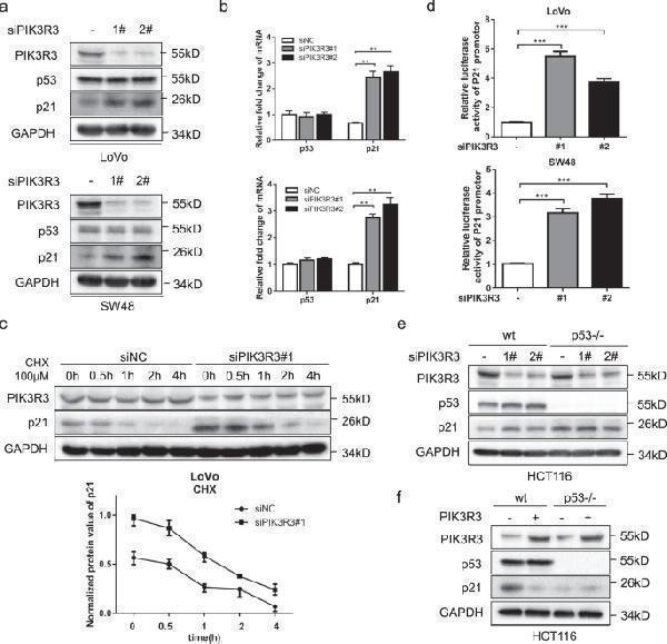m00227 7 41419_2020_2921_fig2_html