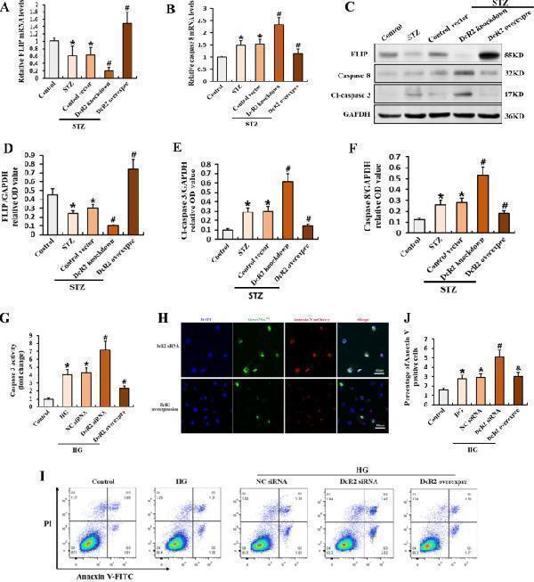 m00227 7 41419_2022_4972_fig4_html