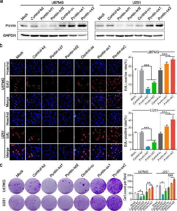 m00227 7 41419_2022_5265_fig2_html