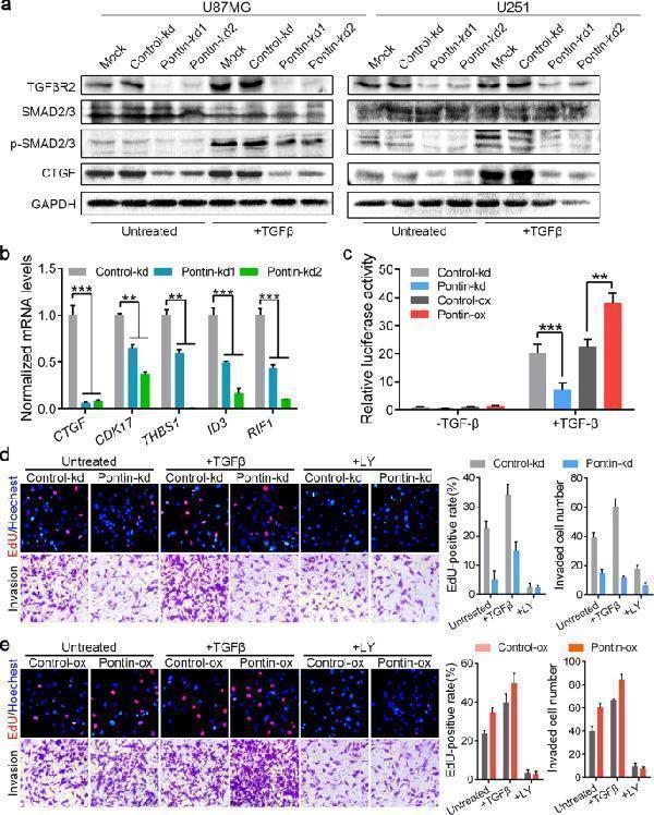m00227 7 41419_2022_5265_fig5_html