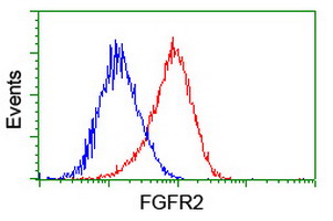 Flow cytometric Analysis of Hela cells