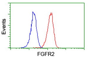 Flow cytometric Analysis of Jurkat cells