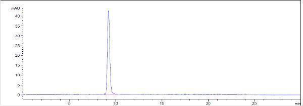The purity of Anti-FGFR2/CD332 Reference Antibody (bemarituzumab)is more than 100%