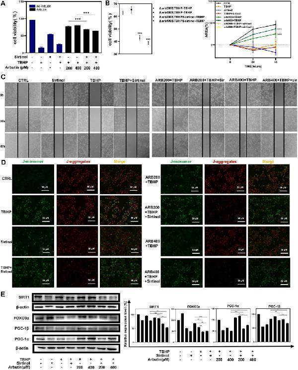 m00236 fgene 13 922807 g005